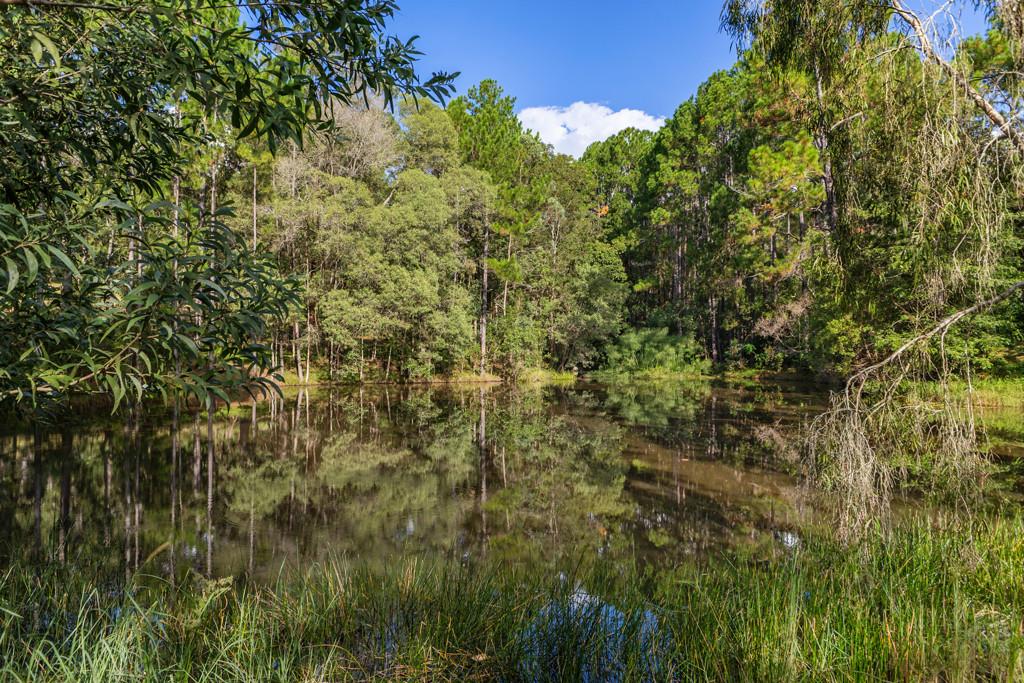 62 Old Mill Road,  CARTERS RIDGE, Carters Ridge - Thumbnail 6