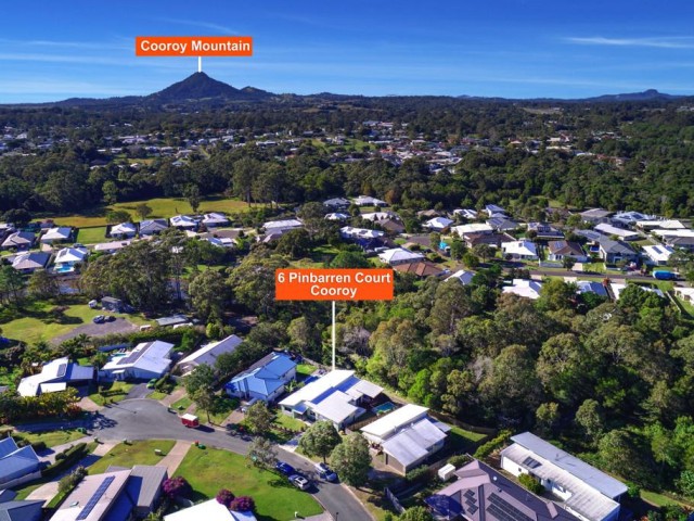 Forest  Back Drop - Stylish 4-Bedroom Haven with Pool in Cooroy