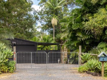 Leafy Tranquil Haven in Cul De Sac, Direct Noosa Trail Access 