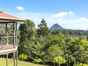 Hinterland Mountain Magic 