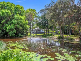 Character Queenslander with Pool, Shed & Picturesque Acreage