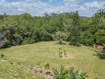 Hinterland Acreage With Rainforest Too!
