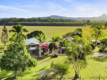 Original Queenslander on 68 usable acres in Doonan! 