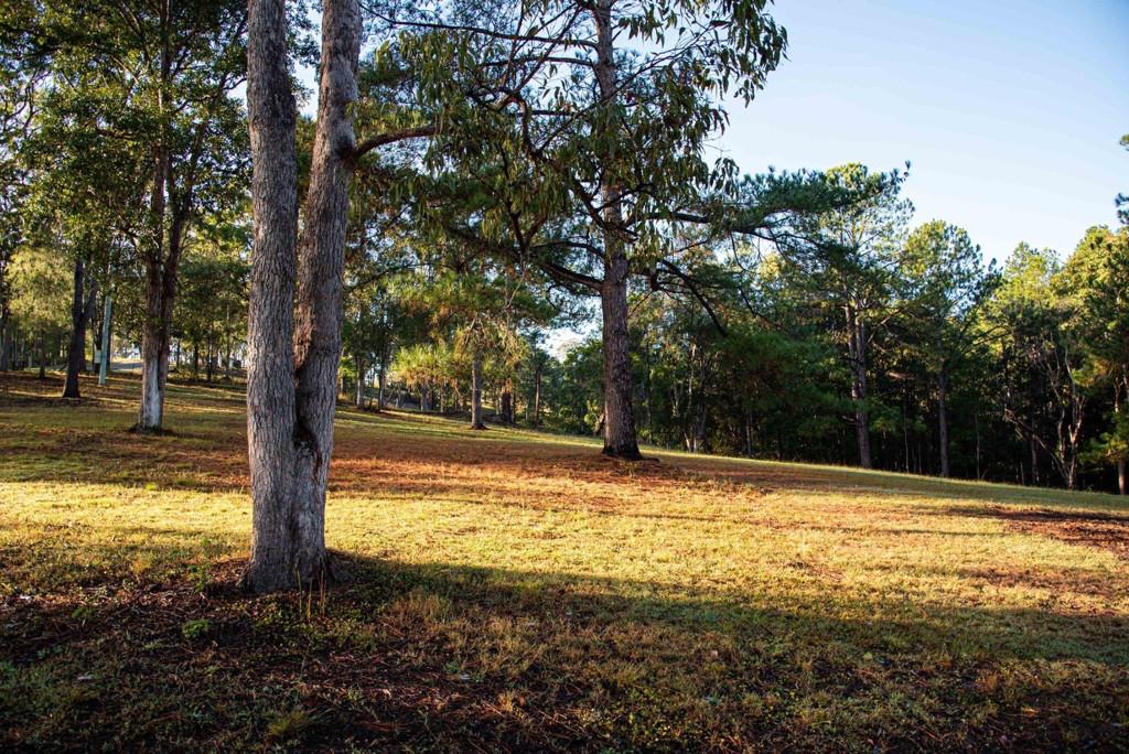 62 Old Mill Road,  CARTERS RIDGE, Carters Ridge - Thumbnail 5