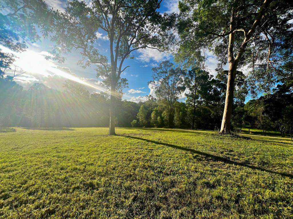 62 Old Mill Road,  CARTERS RIDGE, Carters Ridge - Thumbnail 3